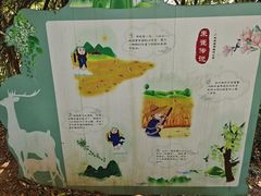 -天鹿湖森林公园