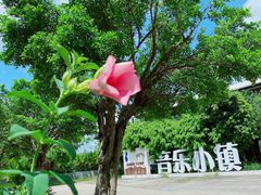 -广州市紫泥堂文化创意园景区