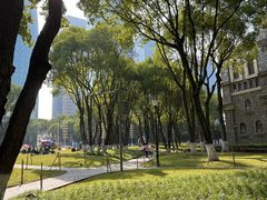 -重庆市江北嘴中央商务区中央公园