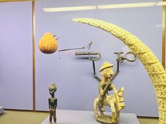 -美国自然历史博物馆