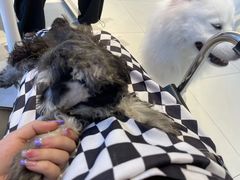 -怪兽屋·羊驼·猫咖·狗咖(俊华广场店)