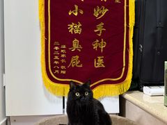 -美联众合动物医院·24h转诊中心
