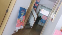 点击看大图 -WENDY·温迪皮肤管理