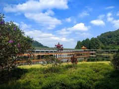 -梅州天地人花园酒店(梅县人民广场店)