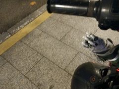 -云溪植物园