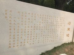 -习家池