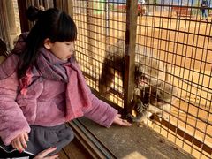 -岚山猴子公园