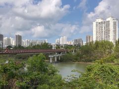 -金鸡岭桥头公园