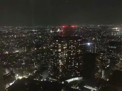 -东京都厅舍