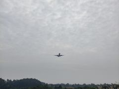 -空港花田景区