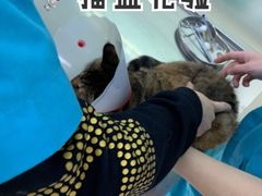 -中农大我爱我爱动物医院(甜水园店)