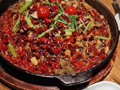 -老板恋上鱼(恒隆广场店)