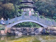 -深圳国际园林花卉博览园