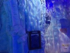 -芜湖新华联大白鲸海洋公园