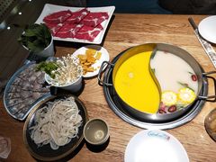 -青瓷火锅料理(西单大悦城店)