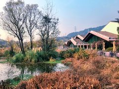 -西湖风景区-江洋畈生态公园