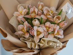 -花未央花店·WEYOUNG