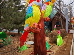 -南宫五洲植物乐园