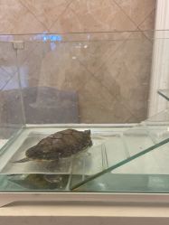 -香秀空间科技抗衰·美容中心