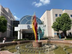 -上海交通大学医学院附属上海儿童医学中心(陆家嘴总院区)