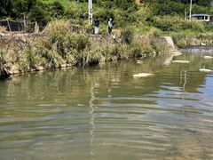 -虎啸峡漂流