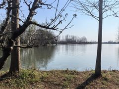 -溱湖国家湿地公园