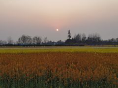 -中国天府农业博览园