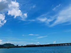 -宝安西湾红树林湿地公园