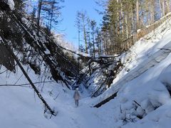 -峡谷浮石林景区