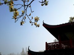 -堤角公园