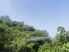 -福道