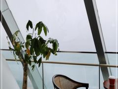 -WFC会仙楼观景台