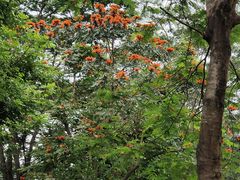 -中国移动南方基地