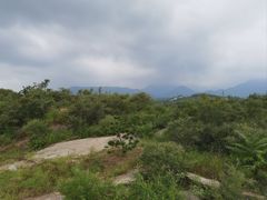 -秦皇岛野生动物园