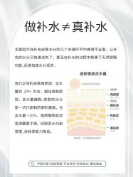 -LUNA皮相美·骨相美高级美感