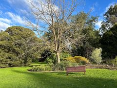 -墨尔本皇家植物园