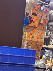 -卡通尼·Safari非洲探索乐园·生日会(金桥国际商业广场店)