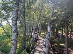 -塞罕坝国家级自然保护区