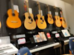 -雅歌音乐培训中心·钢琴培训·乐器培训(交道口店)