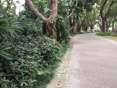 -人民公园(罗湖区)