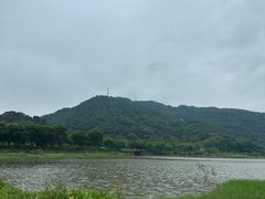 -风云岭森林公园