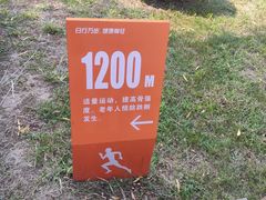 -莲花池公园