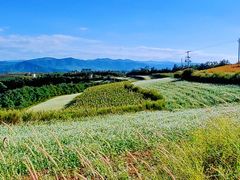 -红土地风景区