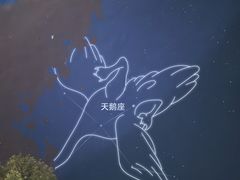 -遇见小院—虹鳟鱼•农家菜(怀柔店)