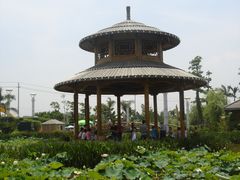 -聚龙小镇