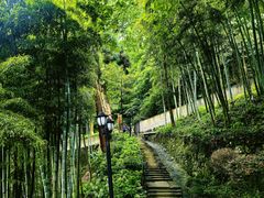 -莫干山风景区