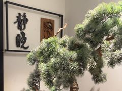 -羲和雅苑•北京烤鸭(国贸商城店)