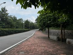 -火炉山森林公园