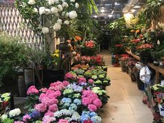 -双季花艺园艺市场(浦东店)