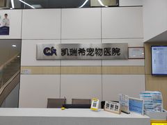 -凯瑞希宠物医院·狂犬免疫·微创·皮肤科